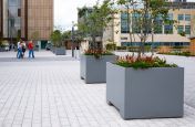 Tree planters for University campus