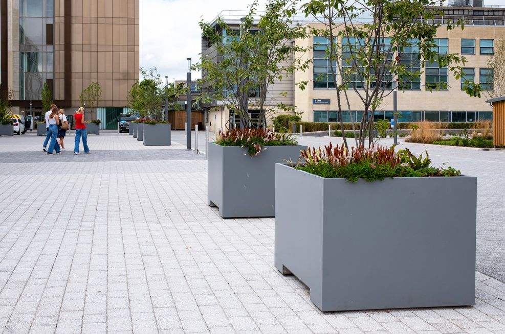 Tree planters for University campus