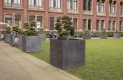 Custom Zinc Tree Planters