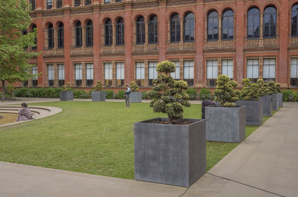 Square Planters for Trees