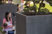 Zinc Planters for Public Garden Spaces