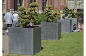 Zinc Tree Planters for Public Space