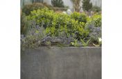 Patinationed Zinc Planters From IOTA