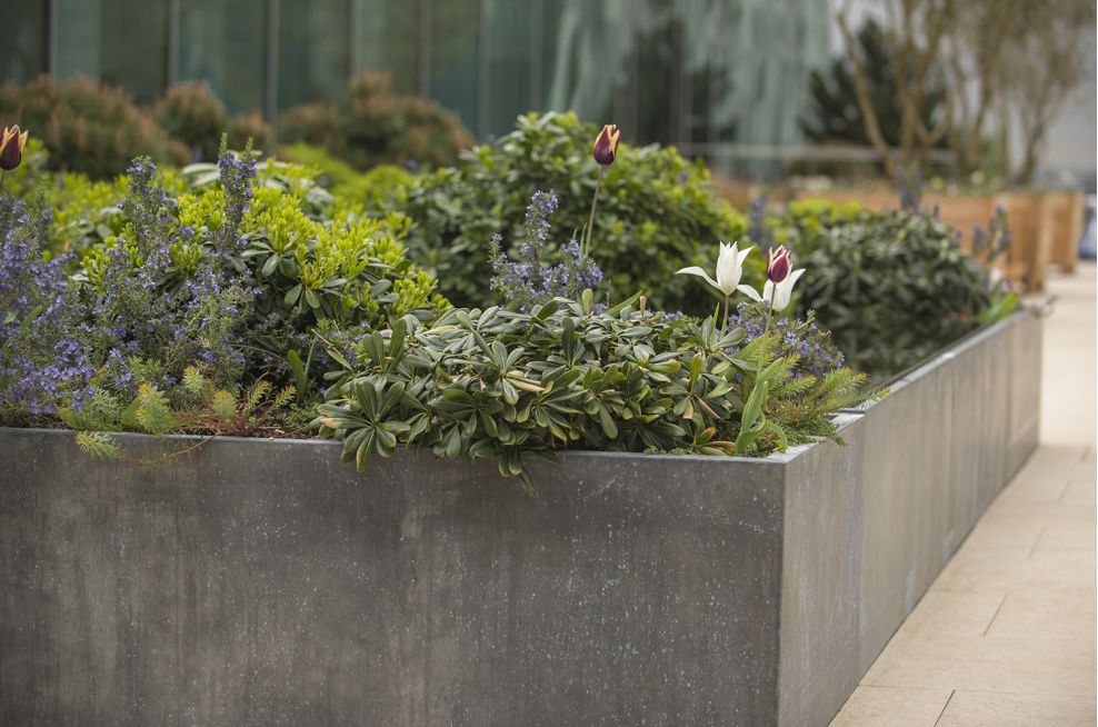 Bespoke Zinc Planters, Custom Zinc Planters, Made to Order Zinc Planters