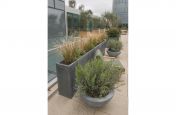 Zinc Planters On A Steel Frame