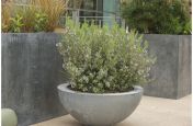 Zinc Planters With Steel Frame