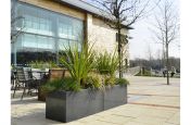 Granite Planters For Surrounding The Dining Terrace
