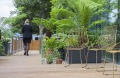 Square Steel Powder Coated Planters