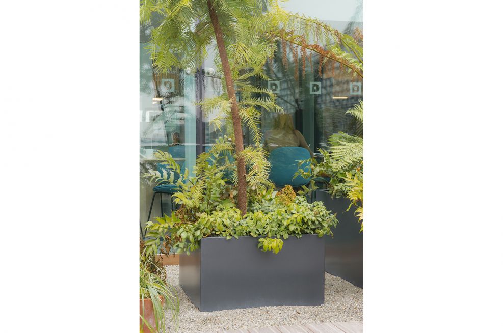 Bespoke Powder Coated Steel Planters