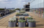 Bespoke Powder Coated Steel Planters at Warner Bros. London WC1