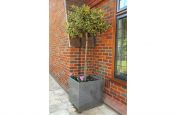 Granite Cube 600 Tree Planter