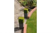 Granite Tall Tapered Planters with Cube-Cut topiary