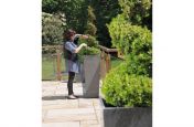 Lady Pruning A Tree In A Granite Tall Taper XXL Planter