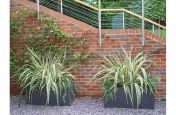 Tall Taper Planters and Tree Planters At Residence