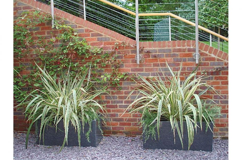 Tall Taper Planters and Tree Planters At Residence