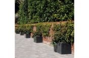 Trough 1000 Planters Along The Wall