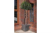 Waterproof Granite Taper 600 Tree Planter Outside Property