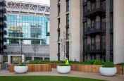 Large courtyard planters