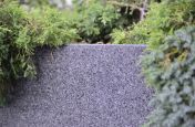Granite Tree planter Close Up Of Grain
