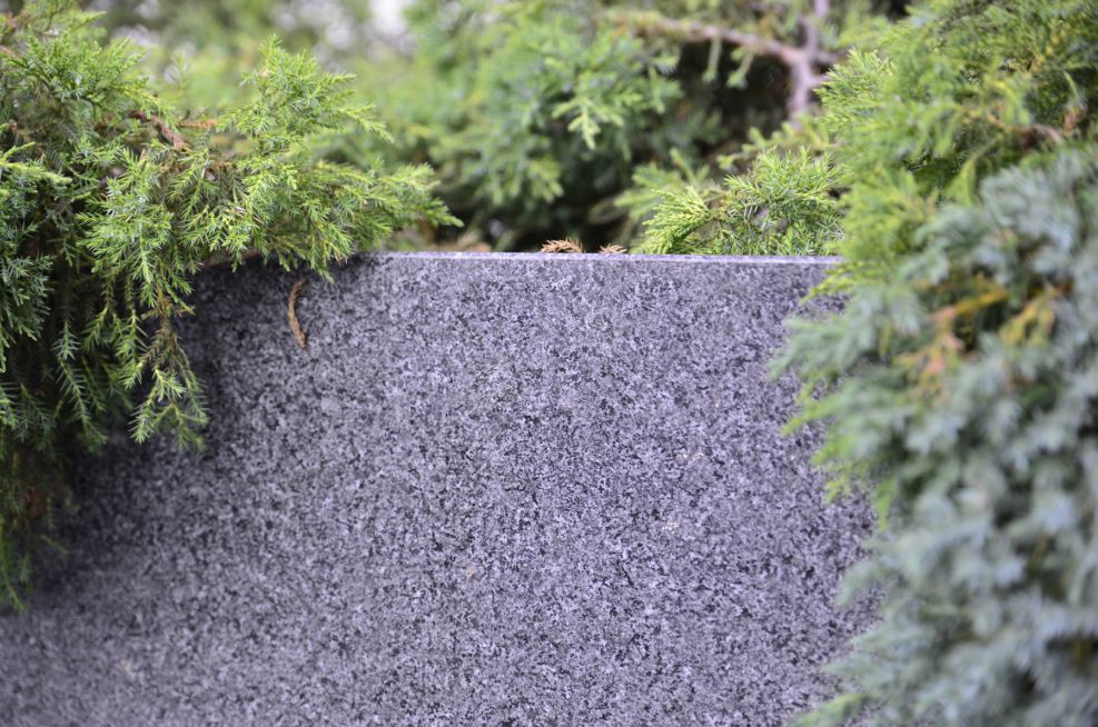 Granite Tree planter Close Up Of Grain