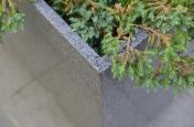 Granite Tree Planters Grain Close Up