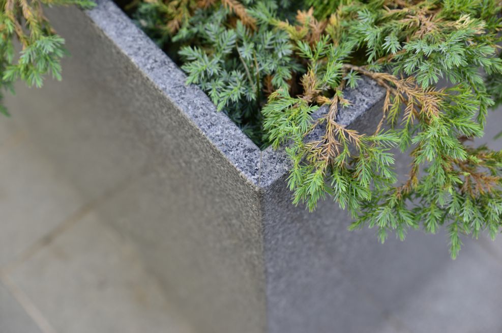 Granite Tree Planters Grain Close Up