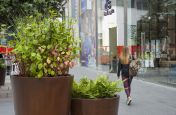 Chemically Weathered Mild Steel Planters