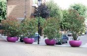 Bright Signal Violet Boulevard Planters