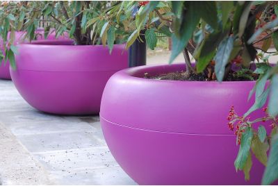 Signal Violet Aladin Composite Planters At Westway Development Trust