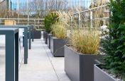 Boulevard composite planters