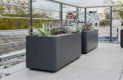 FRC and GRP trough planters