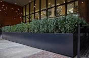 Steel boundary planters for restaurant