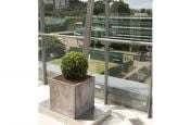 IOTA Contemporary Fresco Planters Overlooking Centre Court