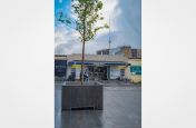 Large tree planters for public spaces