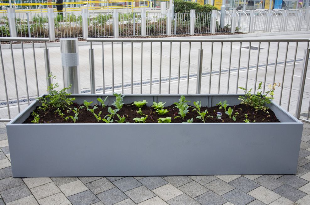 Close Up Of Steel Trough Planters From IOTA