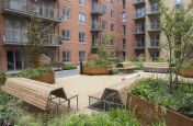 IOTA Planters at The Hungate Regeneration Scheme