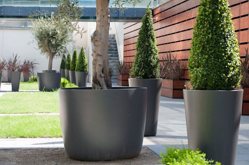 Commercial Planters & Plant Containers - Large Interior, and Public Realm Planters - IOTA UK