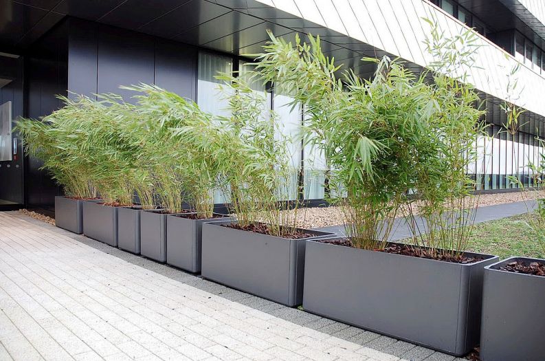 Commercial Planters Large Interior, Exterior and Public Realm Planters IOTA UK