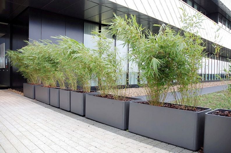 Commercial Planters & Plant Containers - Large Interior, and Public Realm Planters - IOTA UK