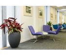 Radial planters at Aberdeen City Council’s new corporate headquarters in Marischal College