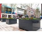 Bespoke granite tree planters for Derry City Council