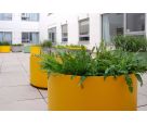 King’s College London – custom-coloured DELTA 45 Round planters