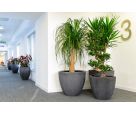 Radial planters at Aberdeen City Council’s new corporate headquarters in Marischal College