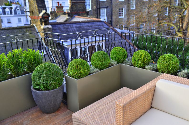 Bespoke powder coated steel planters at Hans Place
