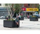 Bespoke granite tree planters for Derry City Council
