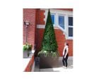 Stainless steel tree planter L 1200 x W 1200 x H 1000mm with 3700mm tall Taxus for The Kia Oval
